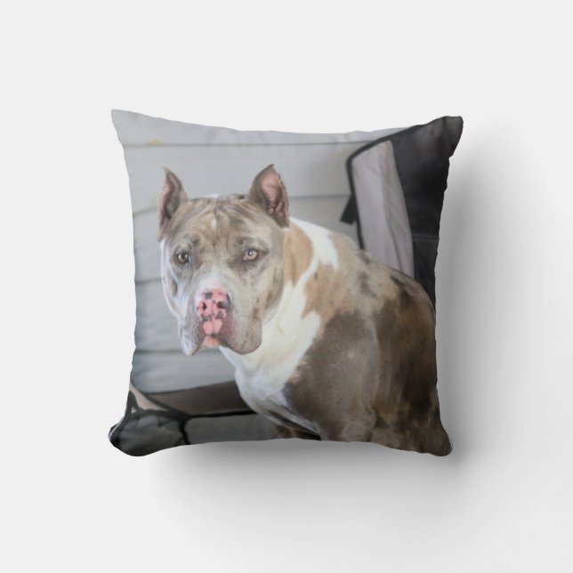 Coussin Puce (Recto)