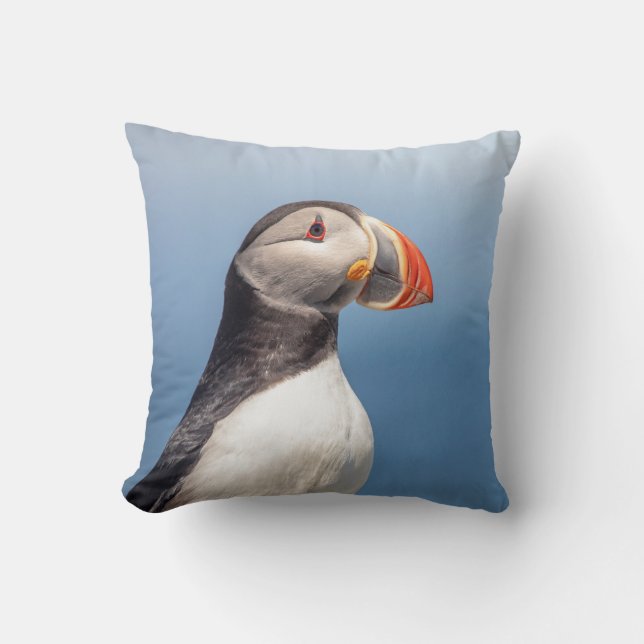 Coussin Puffin Atlantique en Machias, Maine (Recto)