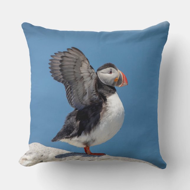 Coussin Puffin de l'Atlantique à Machias, ME (Recto)
