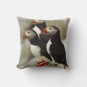 Coussin Puffins de l'Atlantique sur l'île des phoques Mach