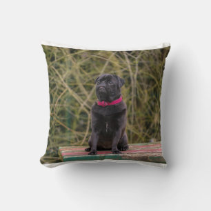 Coussin pug noir assis