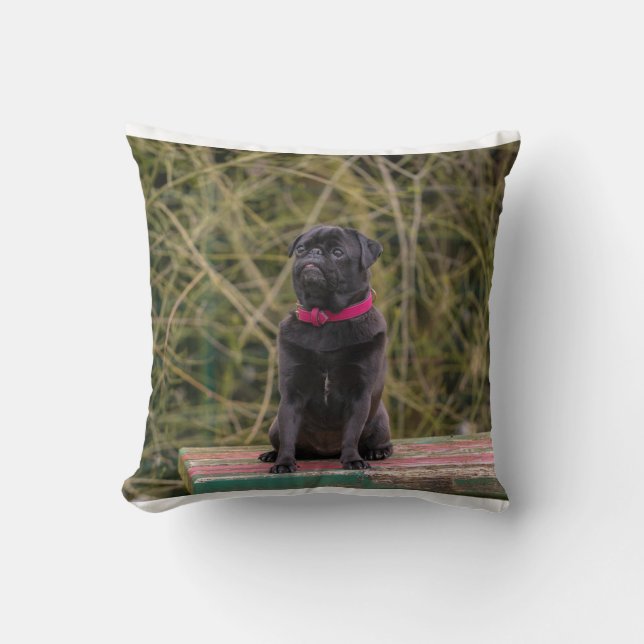 Coussin pug noir assis (Recto)