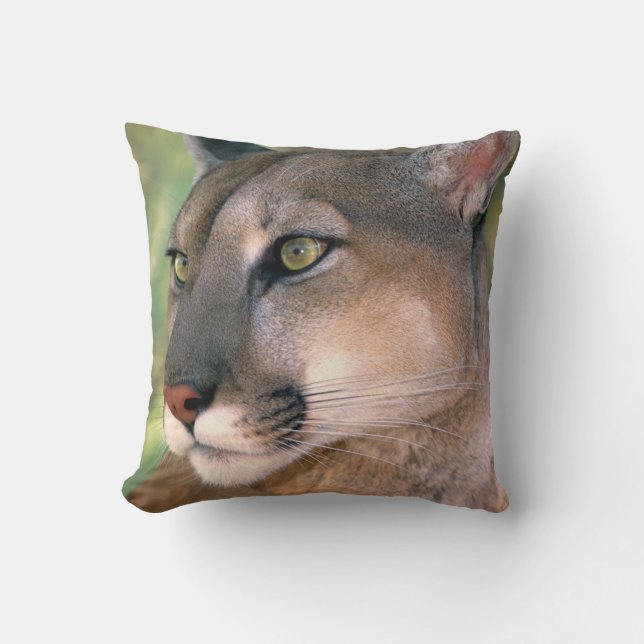 Coussin Puma, Californie (Recto)