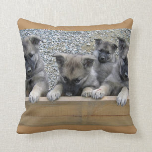 Coussin Puppies de Norvège