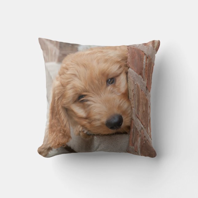 Coussin Puppy Pékin (Recto)