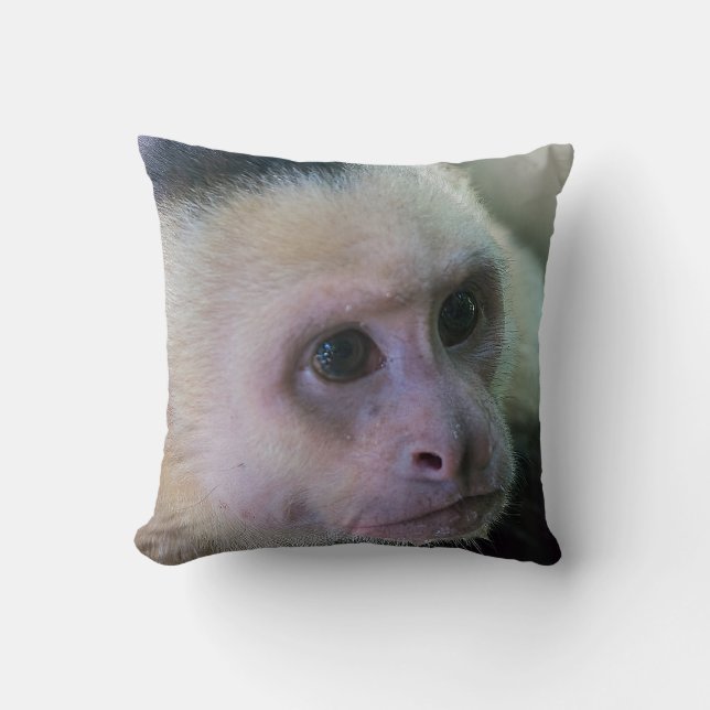 Coussin Pura vida pour singe capucin à visage blanc (Recto)