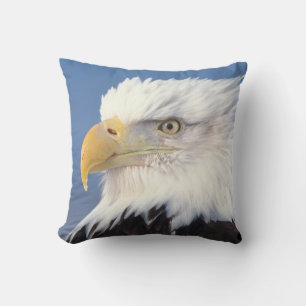 Coussin pygargue à tête blanche, Haliaeetus leuccocephalus