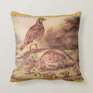 Coussin Quail Family