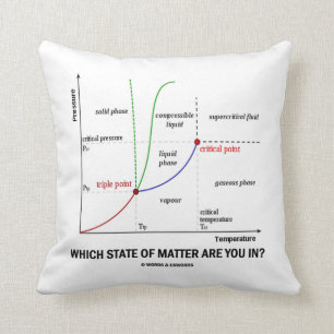 Coussin Quel état de choses êtes-vous dedans ? (Chimie)