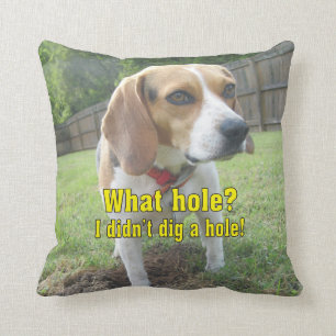 Coussin Quel trou ? Je n'ai pas creusé un trou ! Beagle
