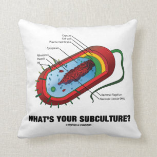 Coussin Quelle est votre culture secondaire ? (Bactérie d