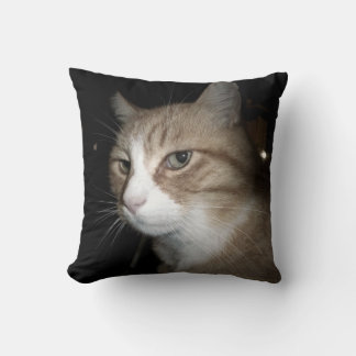 Coussin Qu'est-ce que c'est ?