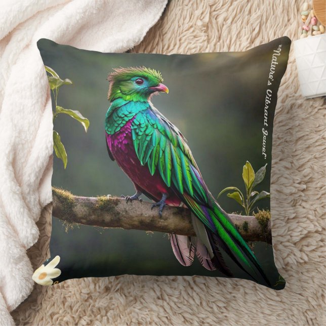 Coussin "Quetzal serein" (Couverture)