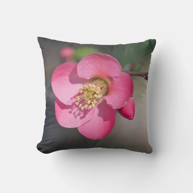 Coussin Quince à fleurs roses parfaite (Recto)