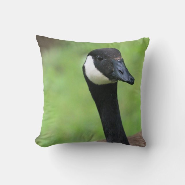Coussin Quoi ? (Recto)