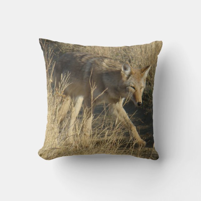 Coussin R14 Coyote Walking (Recto)