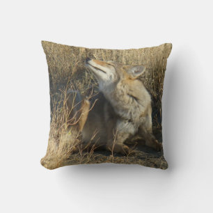 Coussin R17 Coyote qui gratte