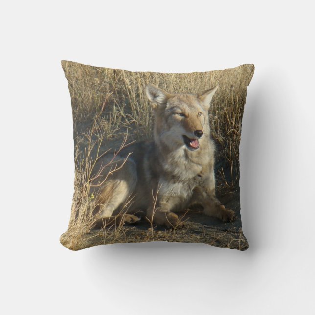 Coussin R18 Coyote Laying (Recto)