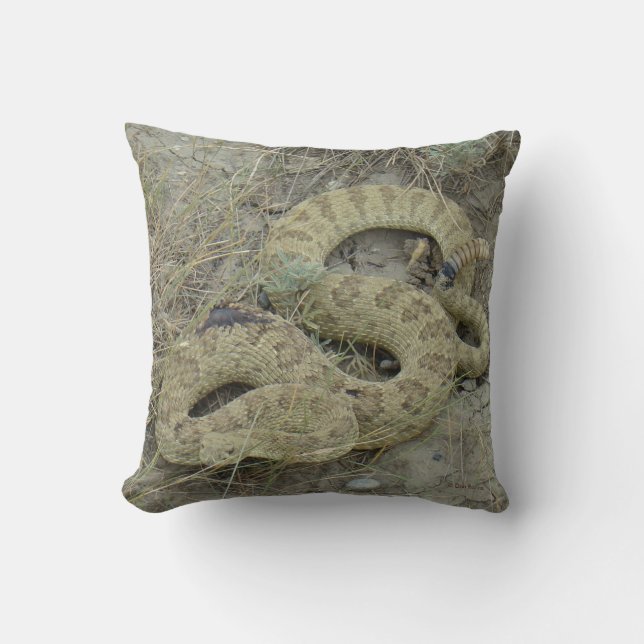 Coussin R20 Serpent à sonnette des Prairies (Recto)