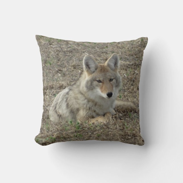 Coussin R22 Coyote Couché (Recto)