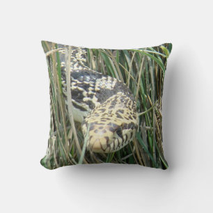 Coussin R4 Bullsnake dans l'herbe