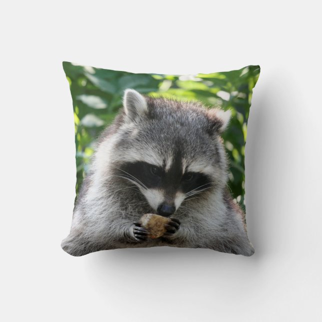 Coussin Raccoon 004 (Recto)