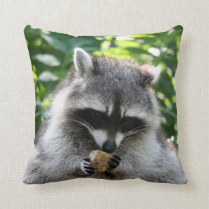 Coussin Raccoon 004