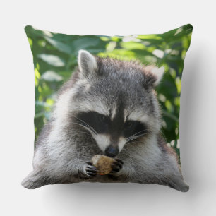 Coussin Raccoon_2014_1201