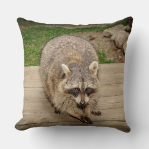 Coussin Raccoon avec puce