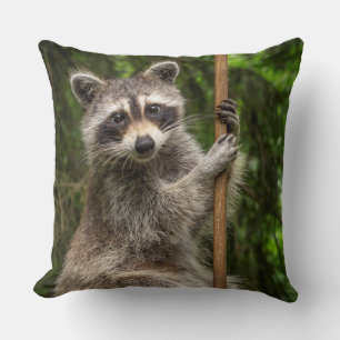 Coussin Raccoon de la danse du pôle