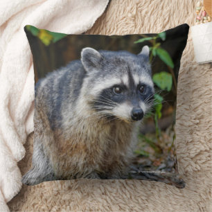Coussin Raccoon nord-américain mignon