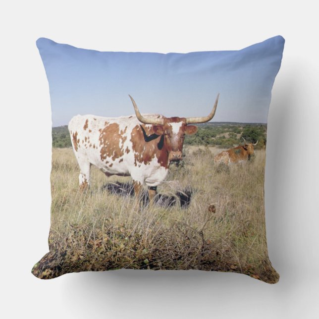 Coussin Race du Texas Longhorn (photo) (Recto)