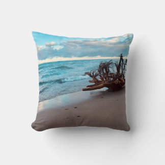 Coussin Racines de bois flotté du lac Supérieur #2
