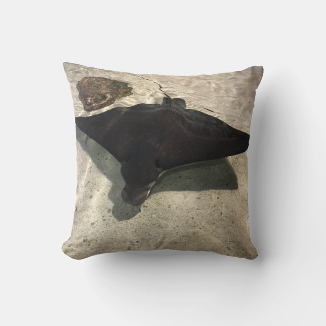 Coussin Raie pastenague (Recto)