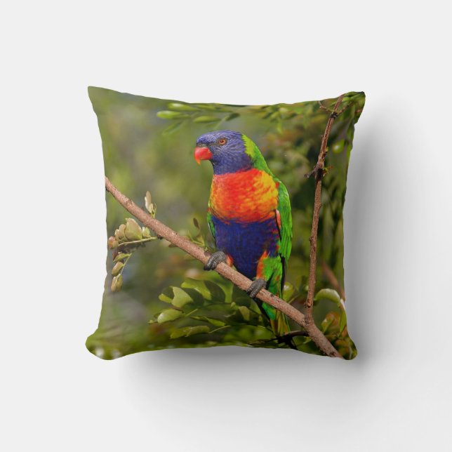 Coussin Rainbow Lorikeet (Recto)