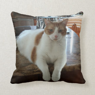 Coussin Rambo Kitty