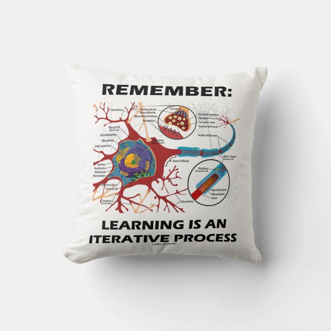 Coussin Rappel : L'apprentissage est un processus itératif (Recto)