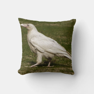 Coussin Rare White Raven Faune Photographie