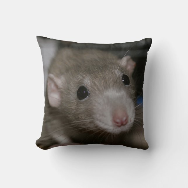 Coussin Rat curieux (Recto)