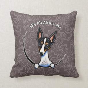 Coussin Rat terrier tricolore IAAM