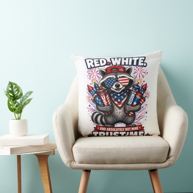 Coussin Raton Laveur Feu d'Artifice 14 Juillet (Chaise)