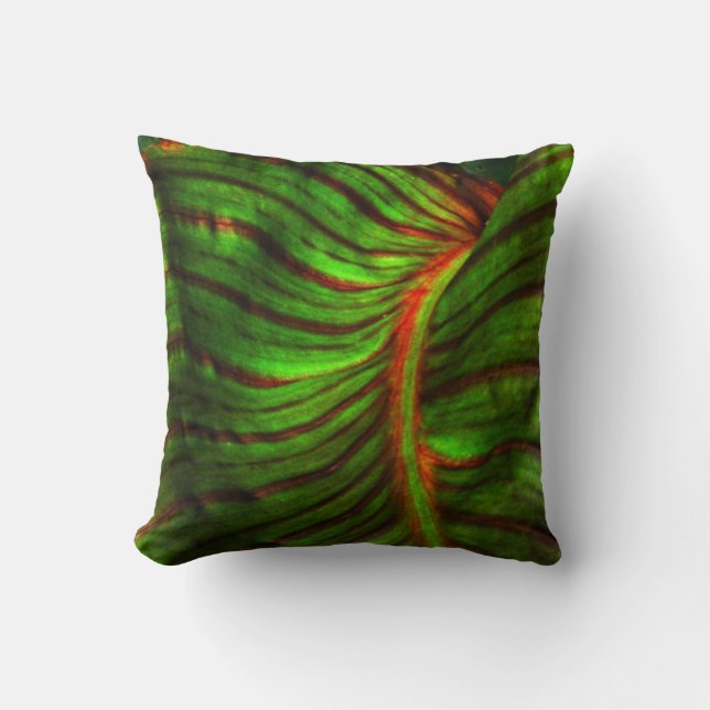 Coussin rayé d'accent de feuille de Canna (Recto)