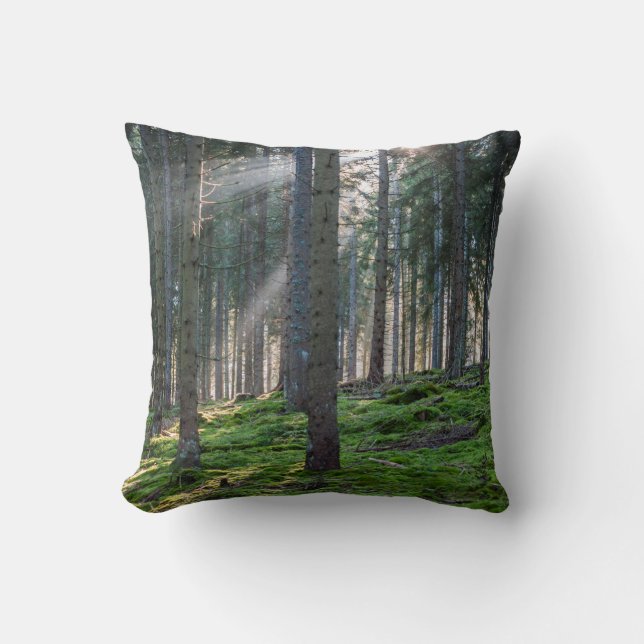 Coussin Rayons de soleil dans la Forêt-Noire (Recto)