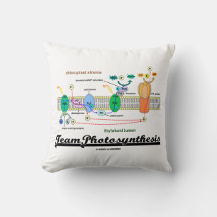 Coussin Réactions de photosynthèse d'équipe dépendantes de