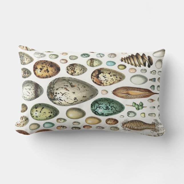 Coussin Rectangle 1897 OEUFS ANIMAUX de Meyers Konversations-Lexikon (Recto)