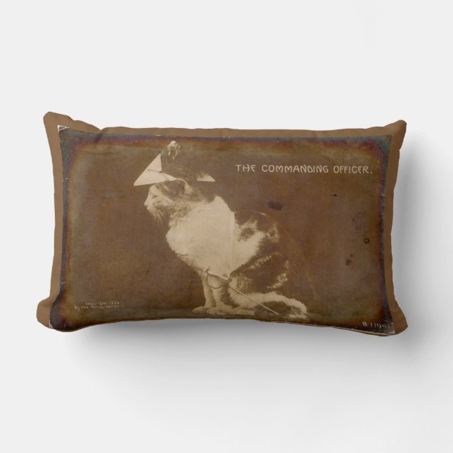 Coussin Rectangle 1906 L'officier commandant habillé chat RPPC (Recto)