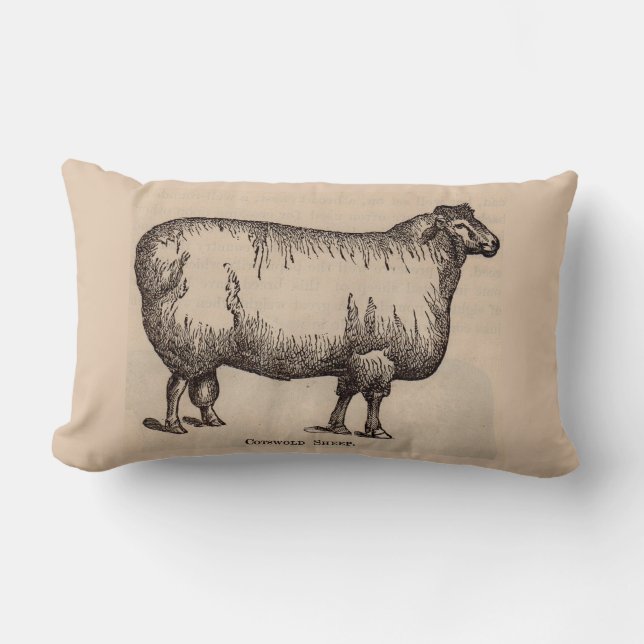 Coussin Rectangle 19e century print cotswold sheep (Recto)