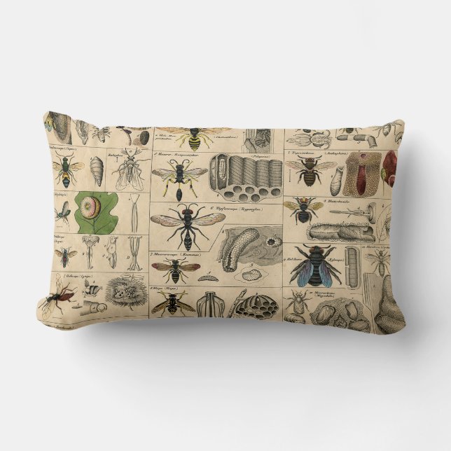 Coussin Rectangle Abeille Insecte Bug Wasp Nature Peinture des abeil (Recto)