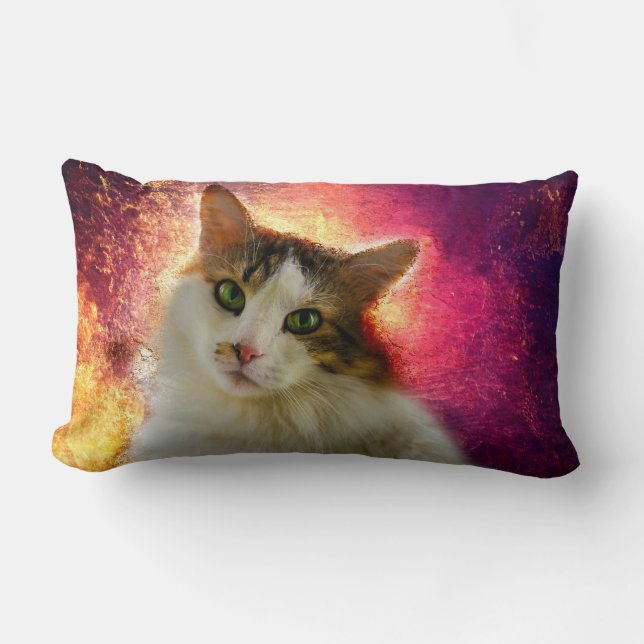 Coussin Rectangle Adorable Cute Calico Chat (Recto)