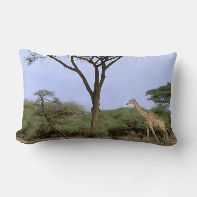 Coussin Rectangle Afrique, Botswana, Delta de l'Okavango. Sud (Recto)